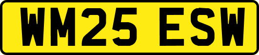 WM25ESW