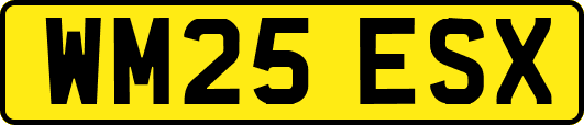 WM25ESX
