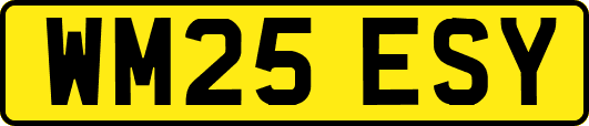 WM25ESY