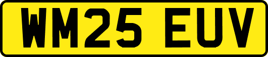 WM25EUV