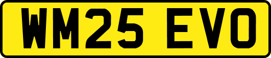 WM25EVO