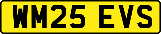 WM25EVS