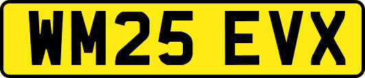 WM25EVX