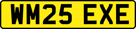 WM25EXE