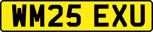 WM25EXU