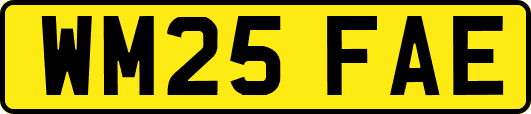 WM25FAE