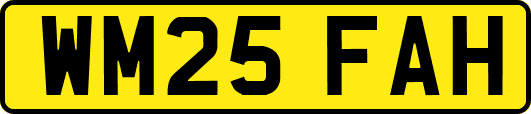 WM25FAH
