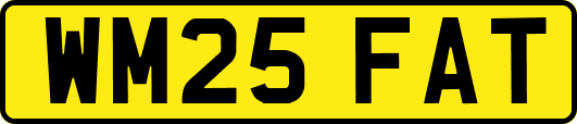 WM25FAT