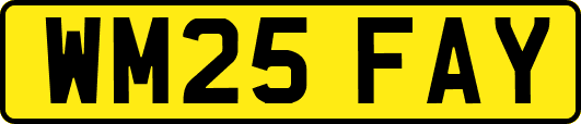 WM25FAY