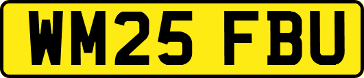 WM25FBU