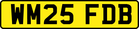 WM25FDB