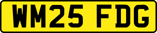 WM25FDG