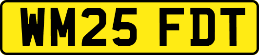 WM25FDT