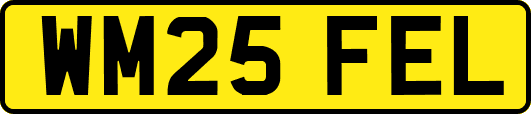 WM25FEL