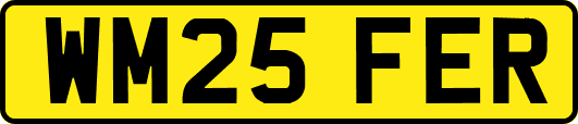 WM25FER