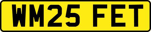 WM25FET