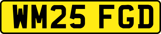 WM25FGD