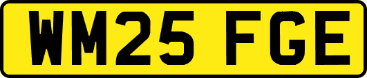 WM25FGE