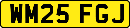 WM25FGJ