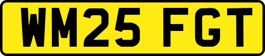 WM25FGT