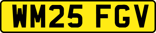 WM25FGV