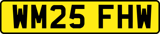 WM25FHW