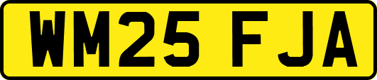 WM25FJA