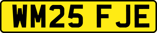WM25FJE