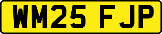 WM25FJP
