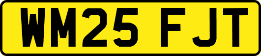 WM25FJT