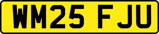 WM25FJU
