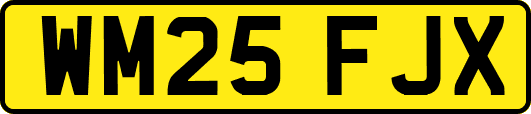 WM25FJX