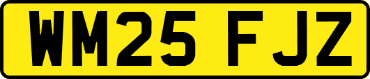 WM25FJZ