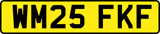 WM25FKF