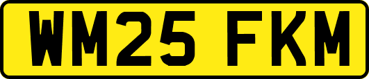 WM25FKM