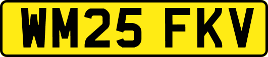 WM25FKV
