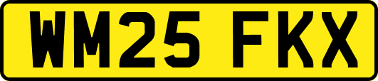 WM25FKX