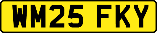 WM25FKY
