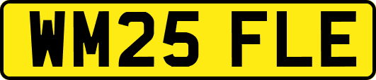 WM25FLE