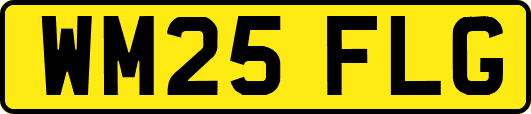 WM25FLG