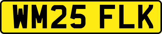 WM25FLK