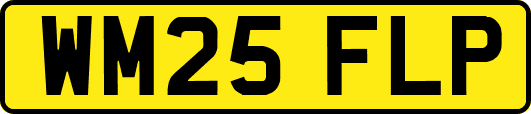 WM25FLP
