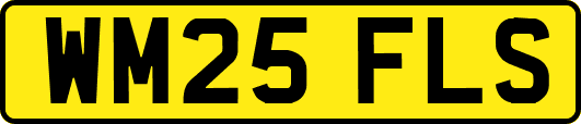 WM25FLS