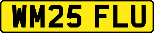 WM25FLU