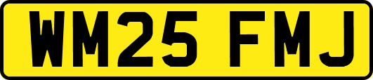 WM25FMJ