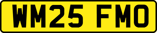 WM25FMO