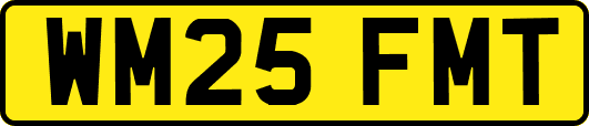 WM25FMT