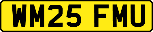 WM25FMU