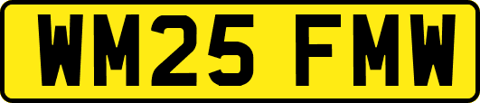 WM25FMW