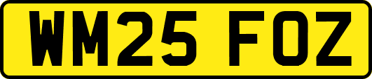 WM25FOZ